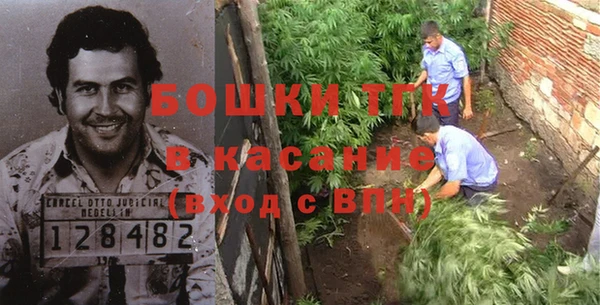 ПСИЛОЦИБИНОВЫЕ ГРИБЫ Верхнеуральск