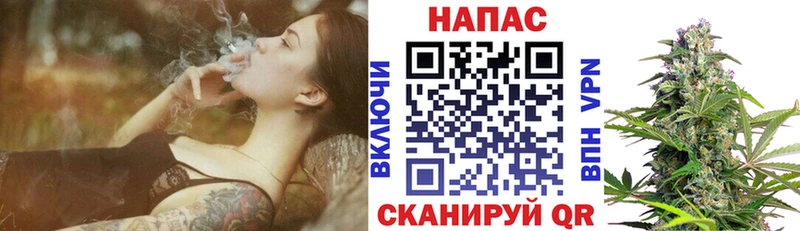 Бошки марихуана семена  купить наркотики цена  Жуковка 